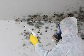 Mold Remediation for Vacation Homes in Bonifay, FL